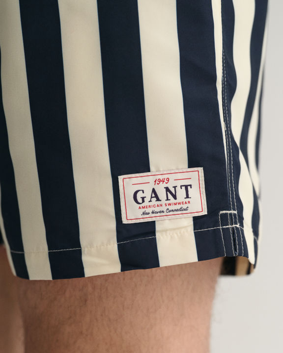 Block Stripe Swim Shorts