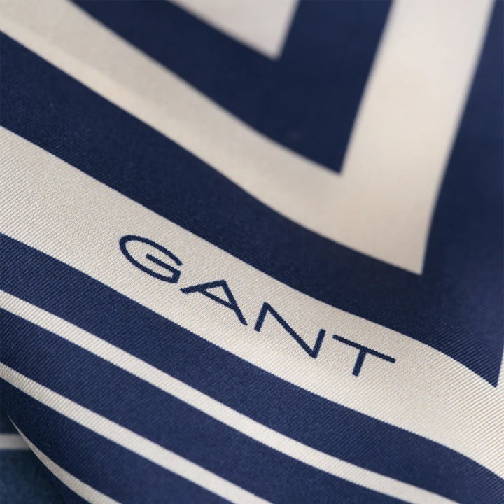 Monogram Border Silk Scarf