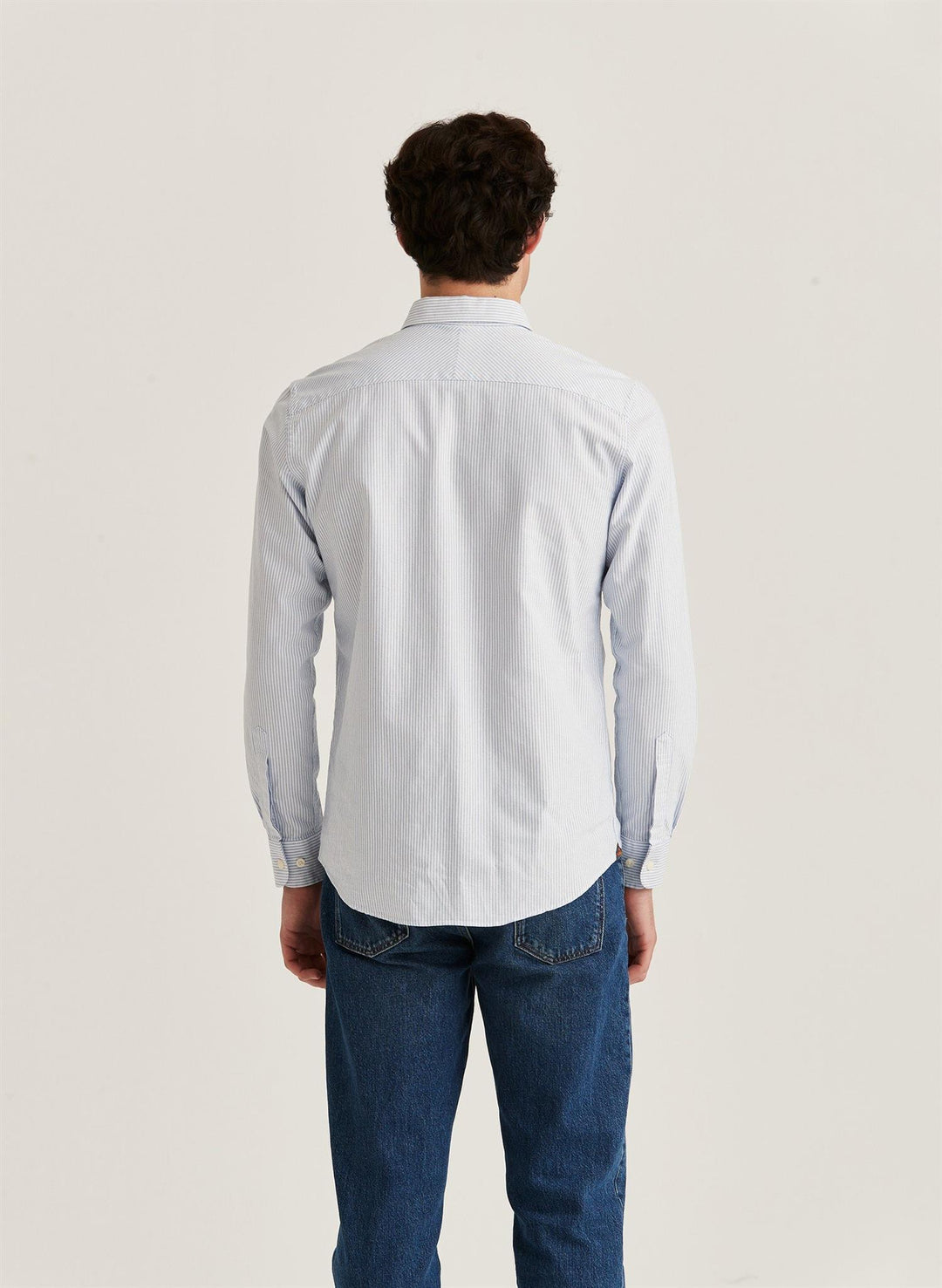Oxford Striped Button Down Shirt