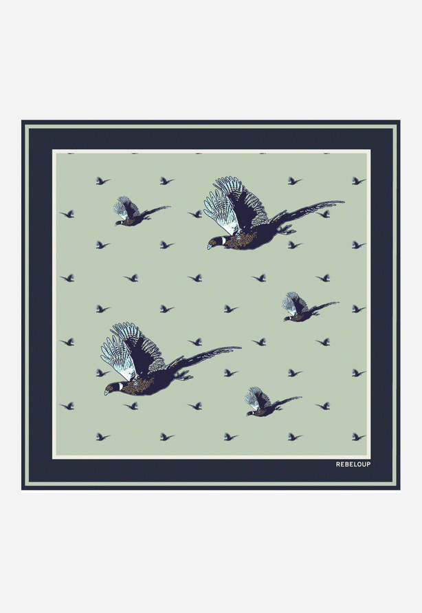 clara silk scarf