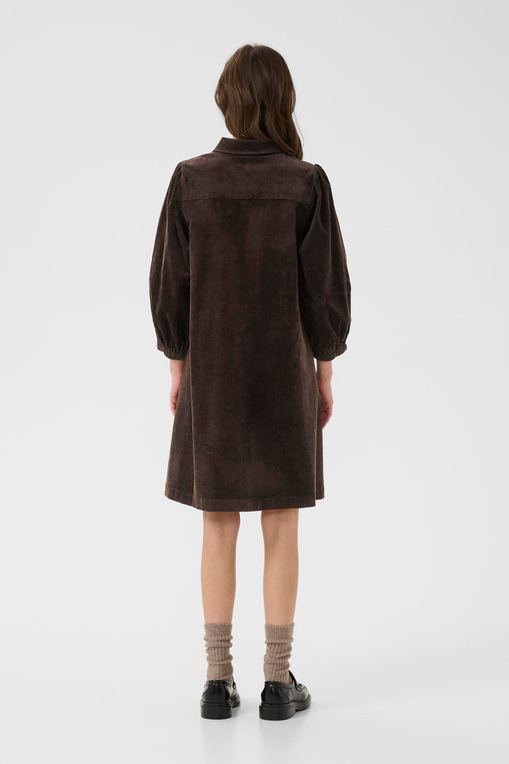 EleinaPW Dress