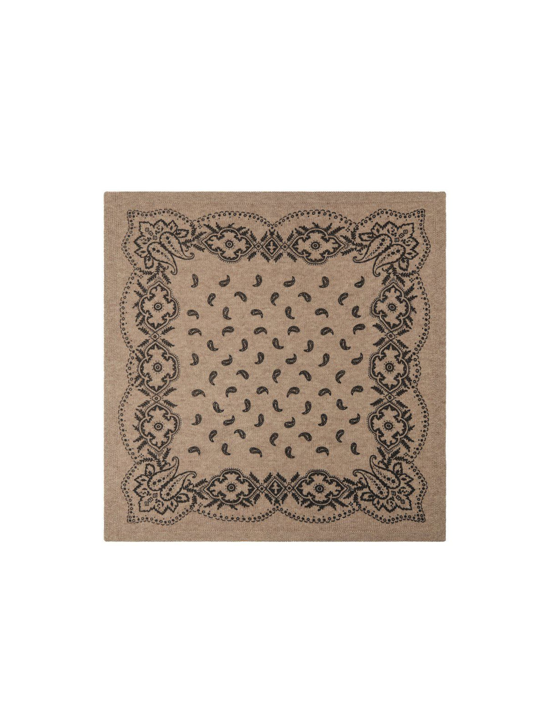 Adelina Paisley Knit Scarf