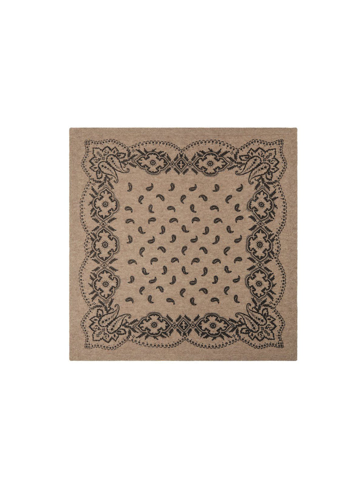 Adelina Paisley Knit Scarf