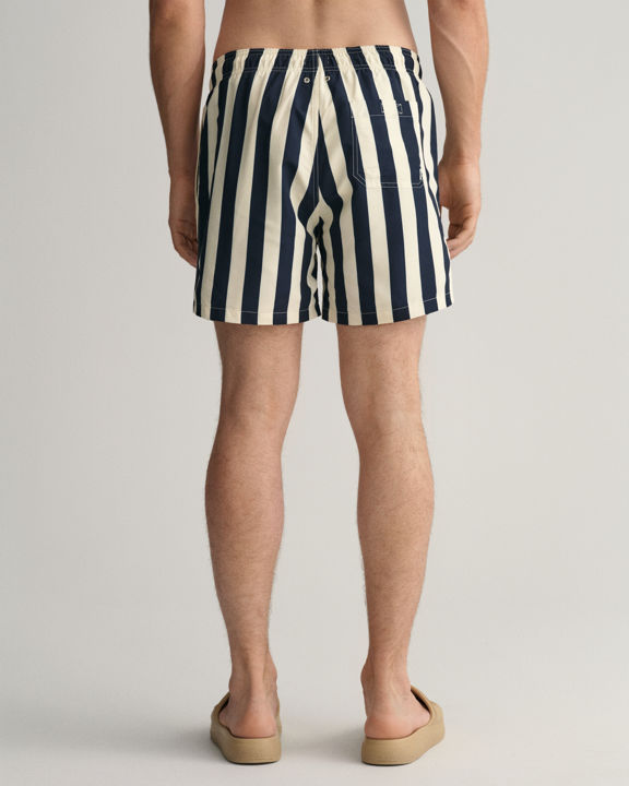 Block Stripe Swim Shorts