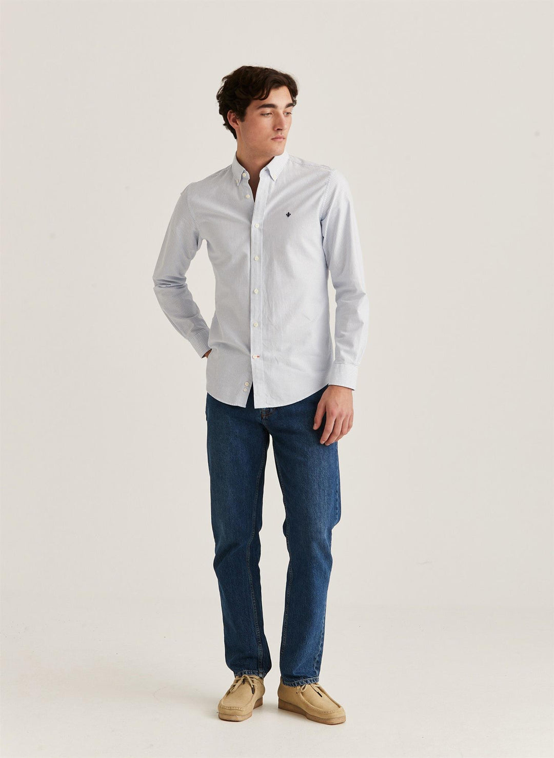 Oxford Striped Button Down Shirt
