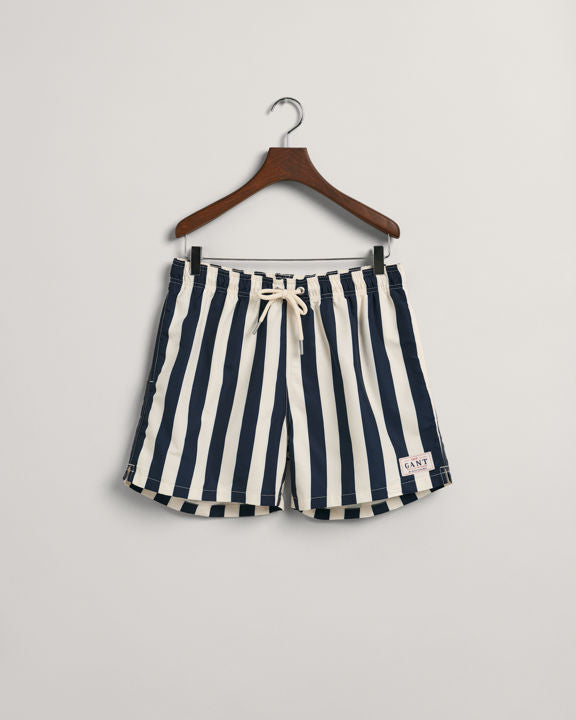 Block Stripe Swim Shorts