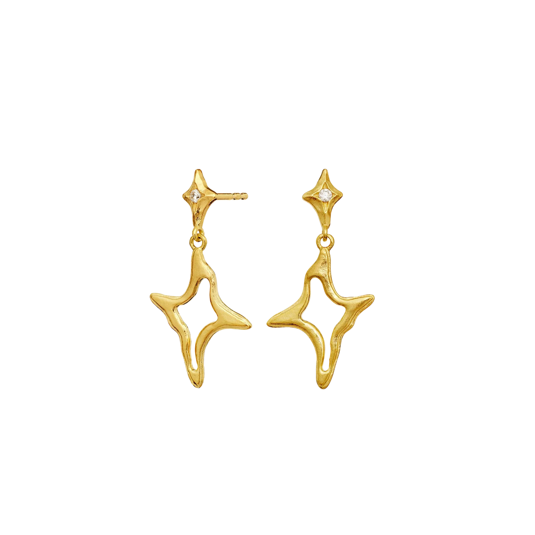 Roxy Earrings