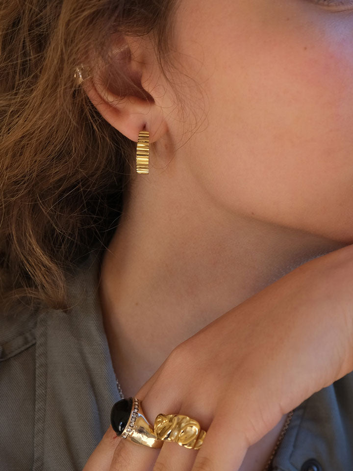 Creol steel striped Earring