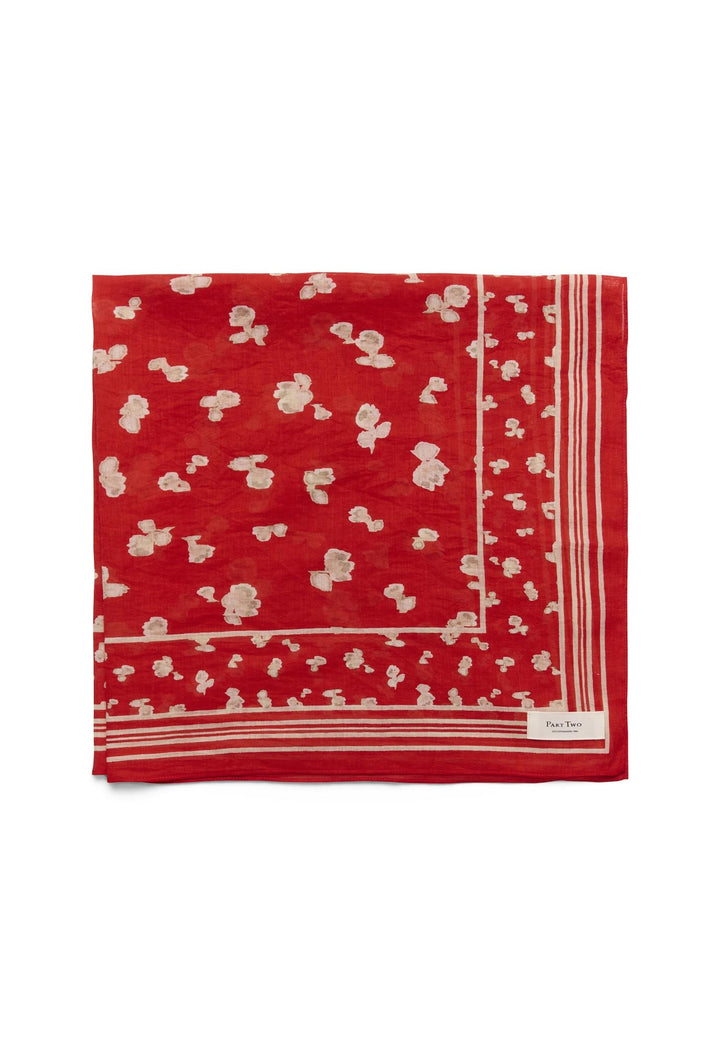 Phi Scarf