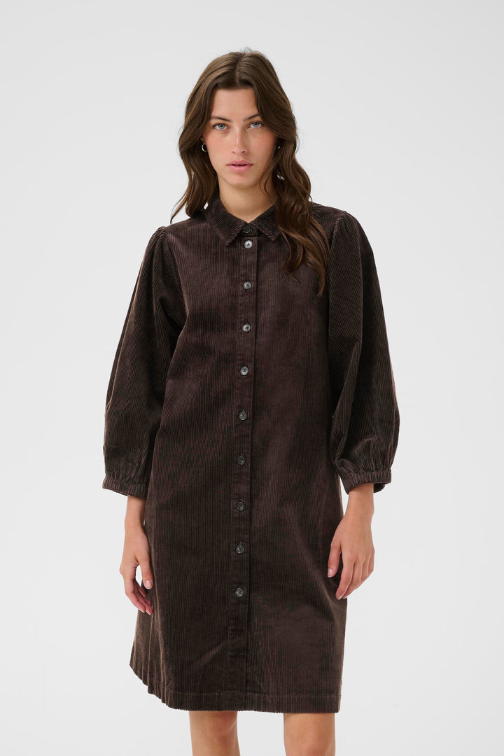 EleinaPW Dress