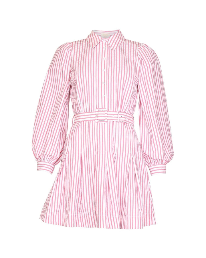Seersucker Pleated Dress
