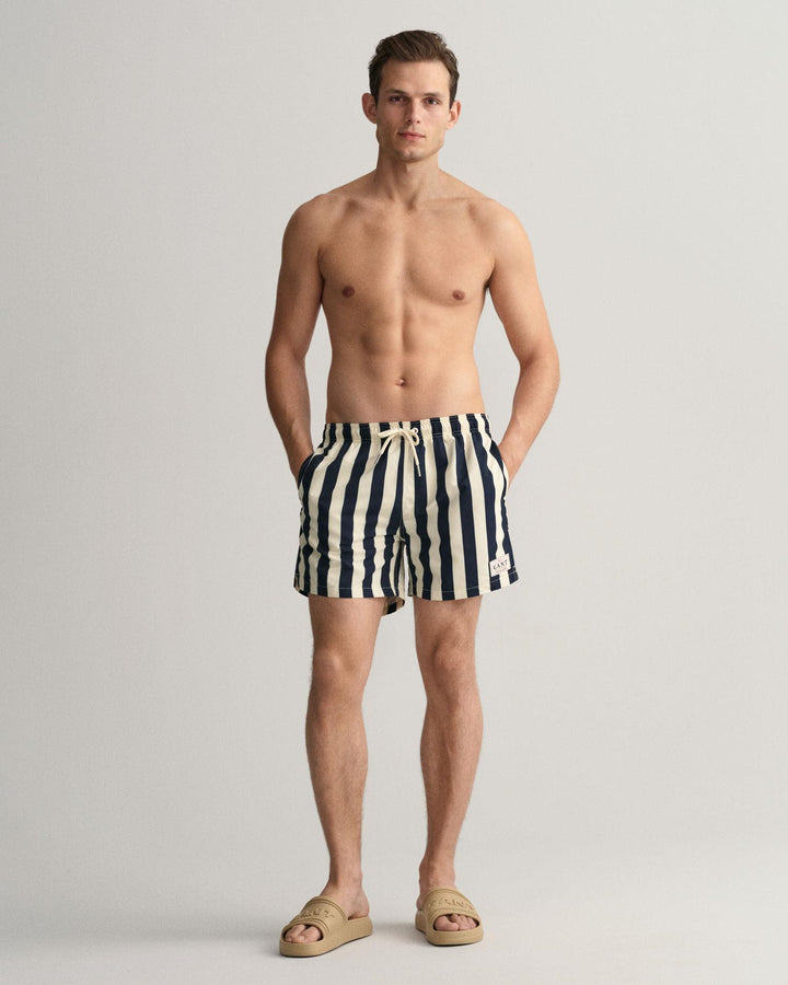 Block Stripe Swim Shorts
