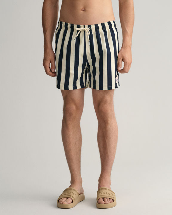 Block Stripe Swim Shorts