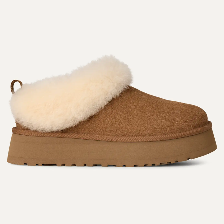 Tazzelle Slippers