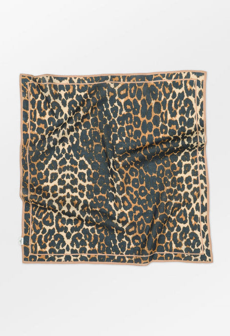 Leopa edgia cotta