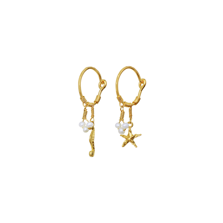 Momi Gold Earrings