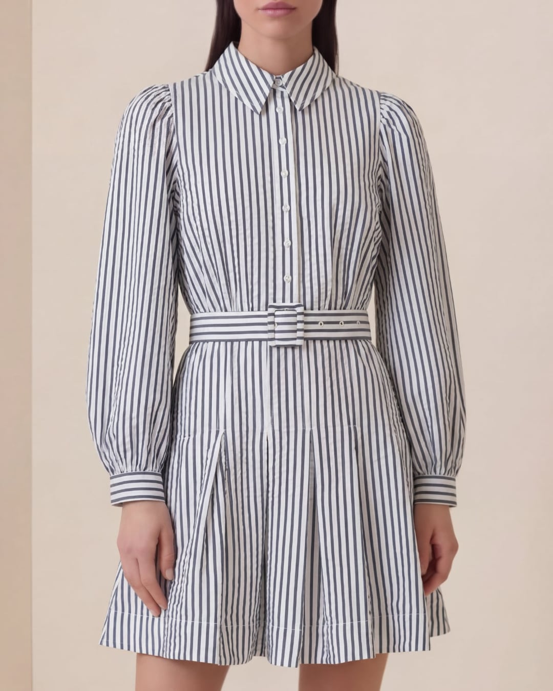 Seersucker Pleated Dress